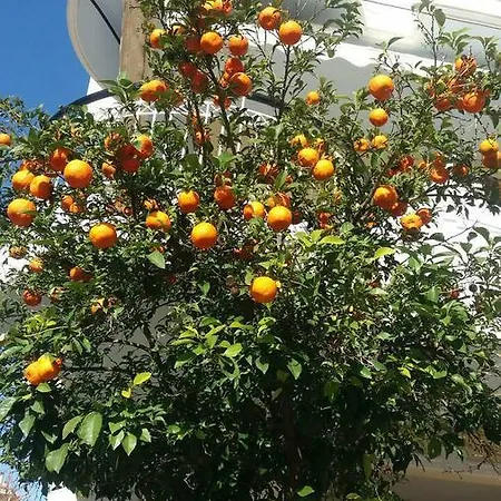 Mikis Διαμέρισμα